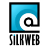 Web Design, Publicitate Online